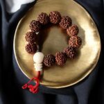 rudraksha enerjize 7 mukhi